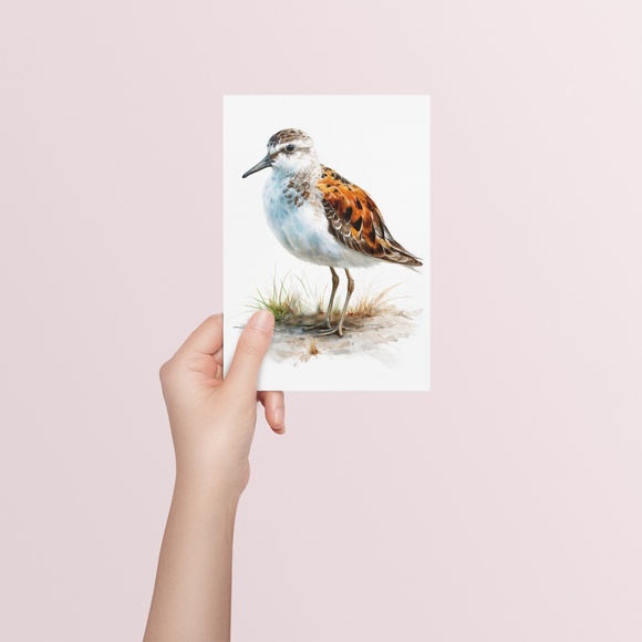 Watercolor Sandpiper Bird Portrait Wall Art Print, Unframed - Coastal Serenity - Picture 5 of 7